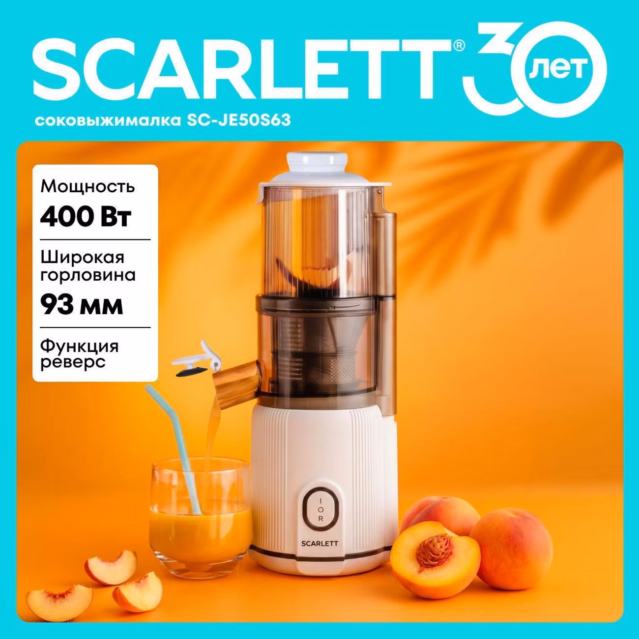 Соковыжималка шнековая Scarlett SC-JE50S63
