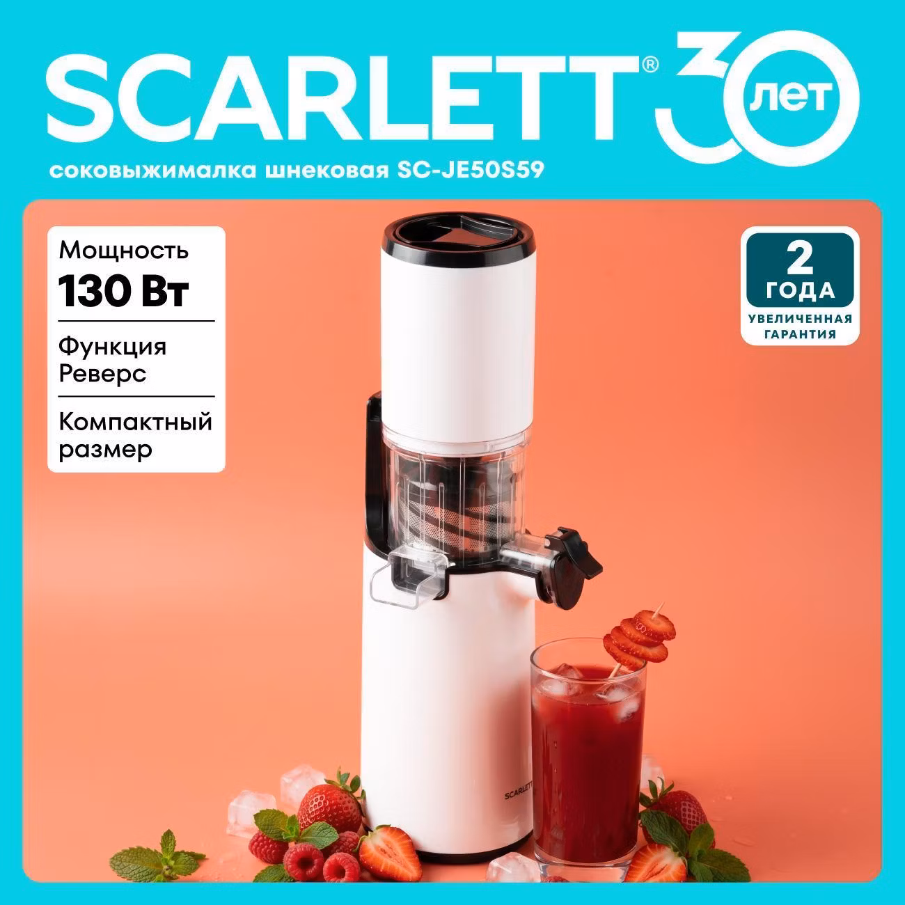 Соковыжималка шнековая Scarlett SC-JE50S59