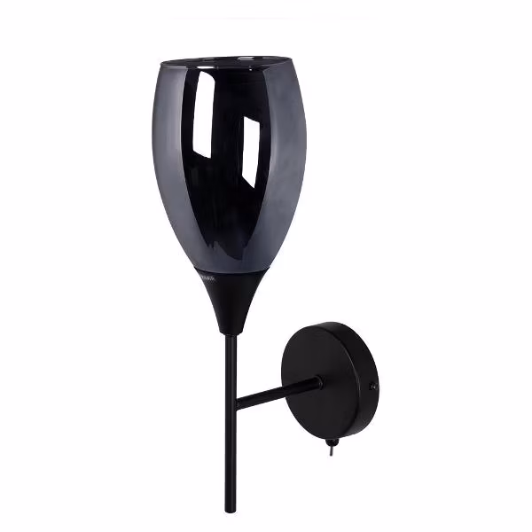 Светильник настенный Arte Lamp BARRY A7951AP-1BK