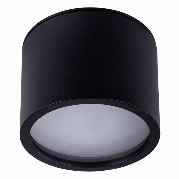 Светильник потолочный Arte Lamp A5543PL-1 черный