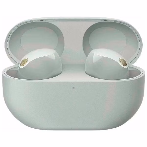 Наушники True Wireless Sony WF-1000XM5 Серебристые