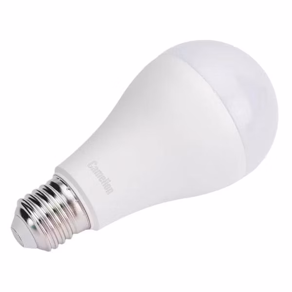 Лампочка Camelion LED20-A65/865/E27 (10 шт.)