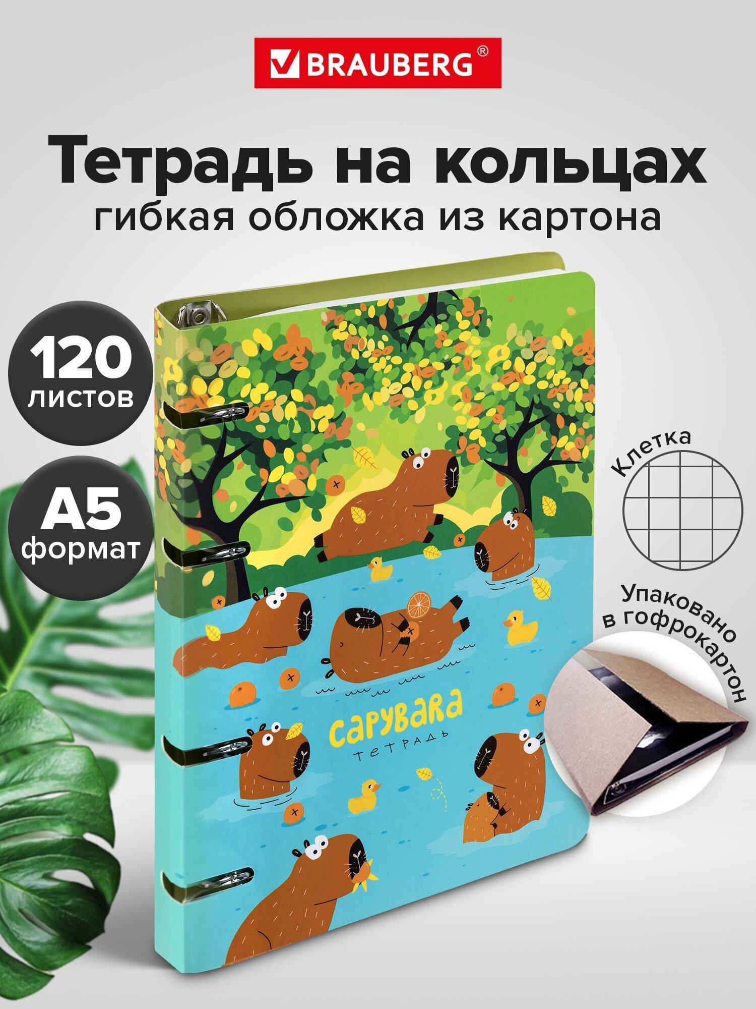Тетрадь Brauberg на кольцах А5 в клетку со сменным блоком 160х212 мм, 120 листов, картон Капибары, 404731