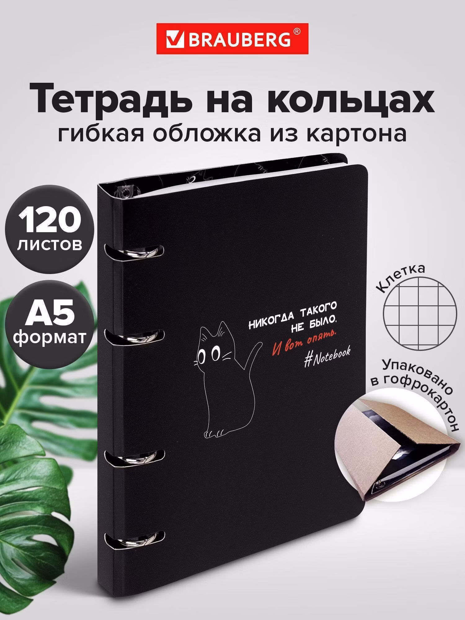 Тетрадь Brauberg на кольцах А5 в клетку со сменным блоком 160х212 мм, 120 листов, картон Просто Кот, 404723