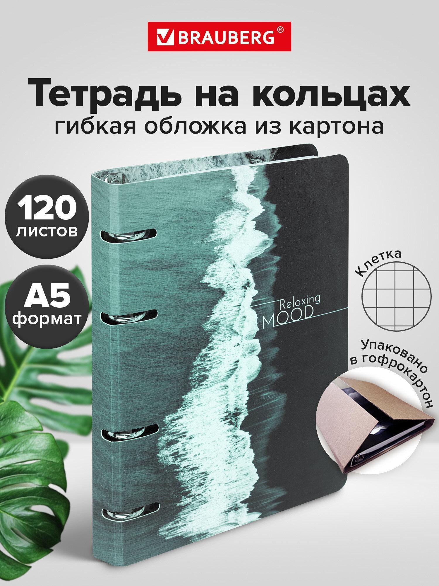Тетрадь Brauberg на кольцах А5 в клетку со сменным блоком 160х212 мм, 120 листов, картон Relax, 404725