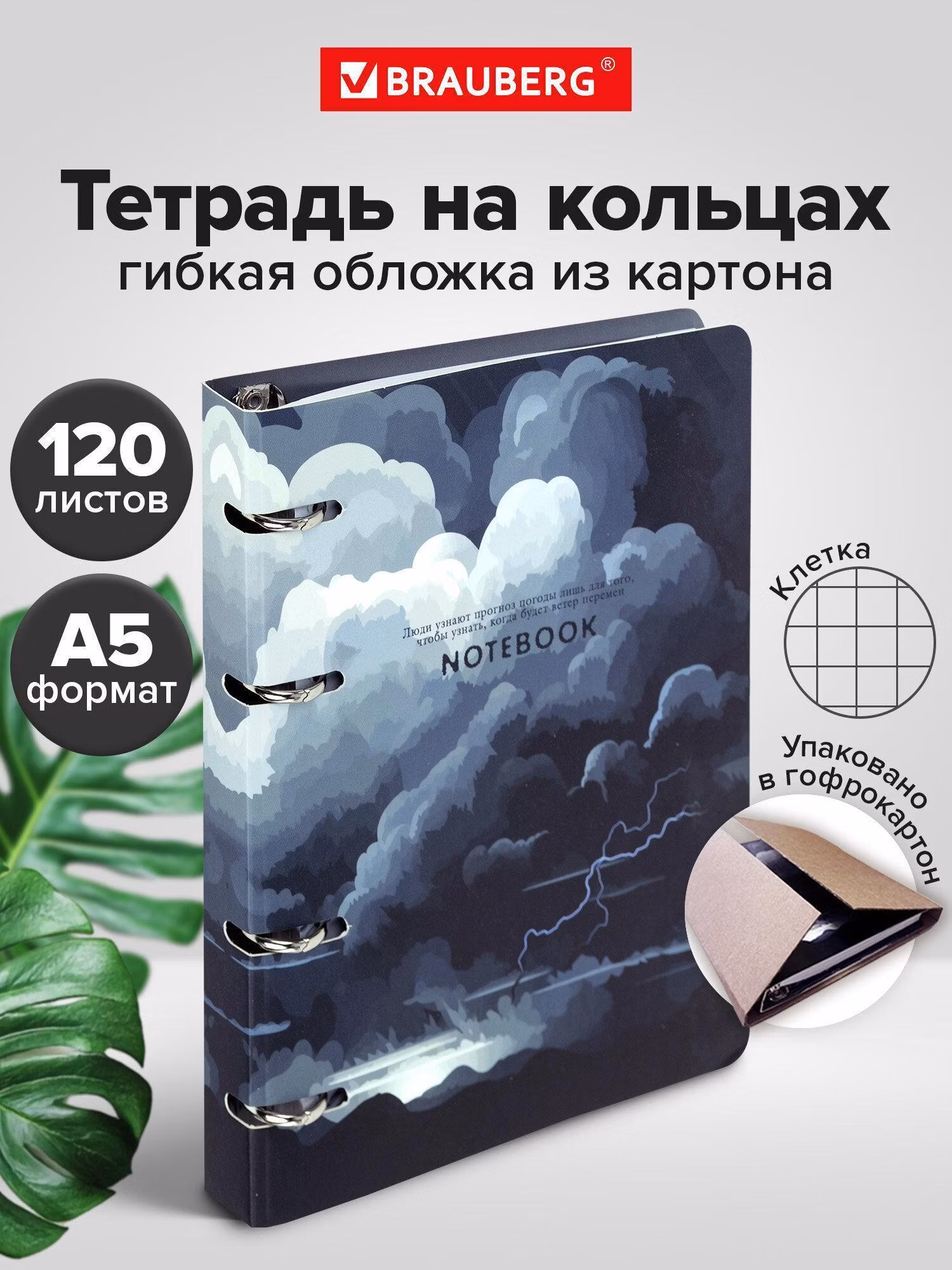 Тетрадь Brauberg на кольцах А5 в клетку со сменным блоком 160х212 мм, 120 листов, картон Clouds, 404726