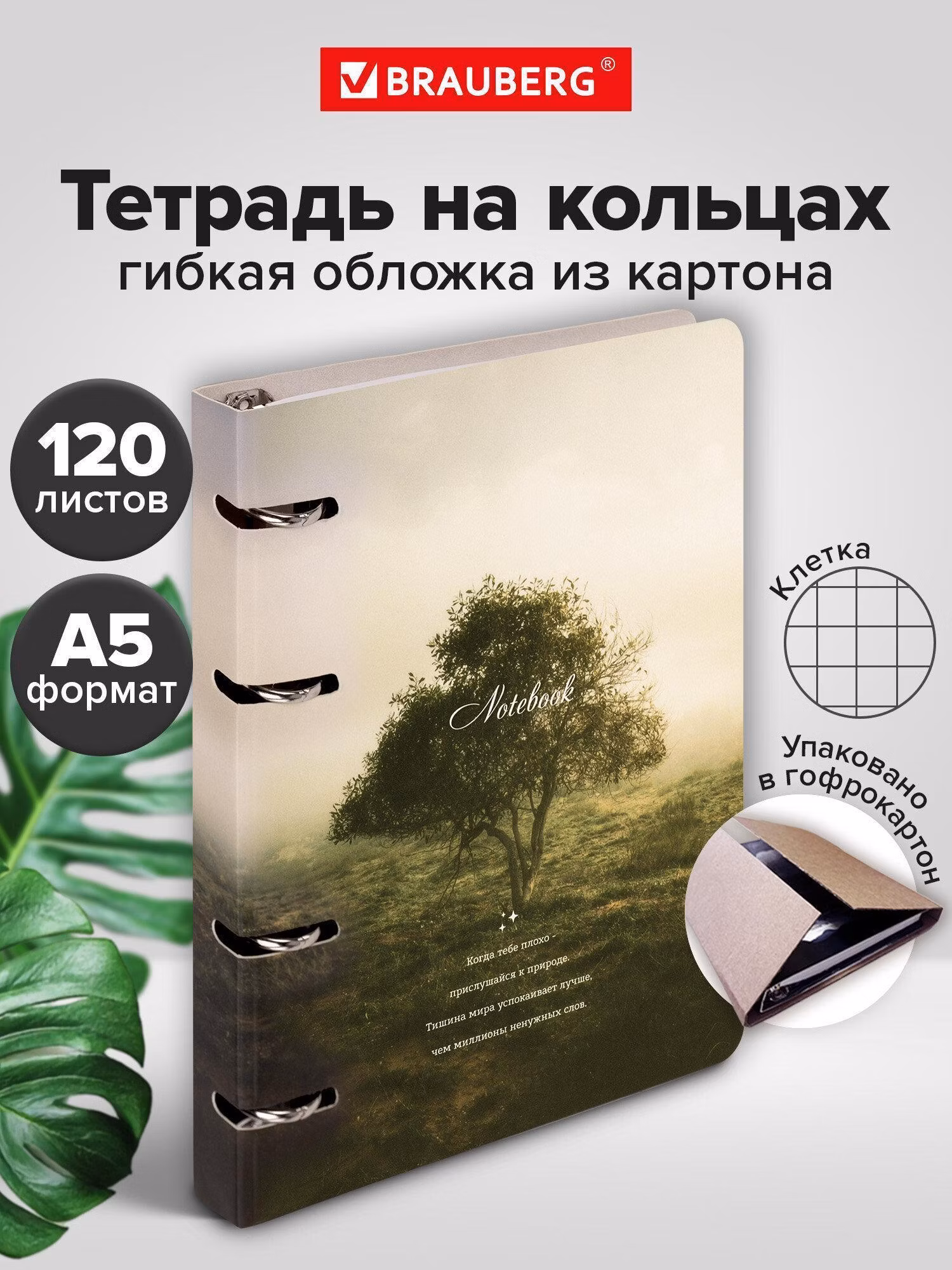 Тетрадь Brauberg на кольцах А5 в клетку со сменным блоком 160х212 мм, 120 листов, картон Nature, 404728