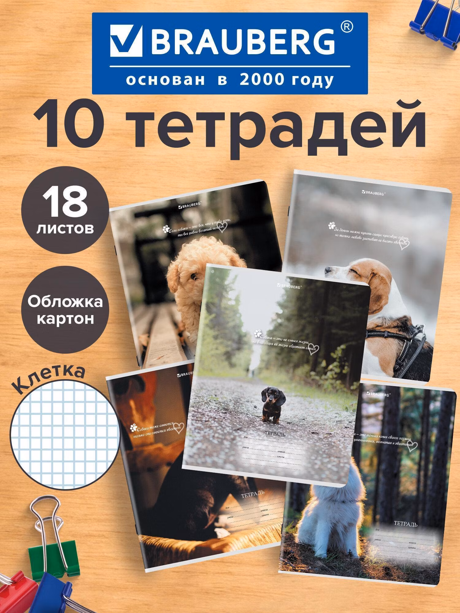 Тетрадь Brauberg в клетку 18 листов 10 штук, 106758
