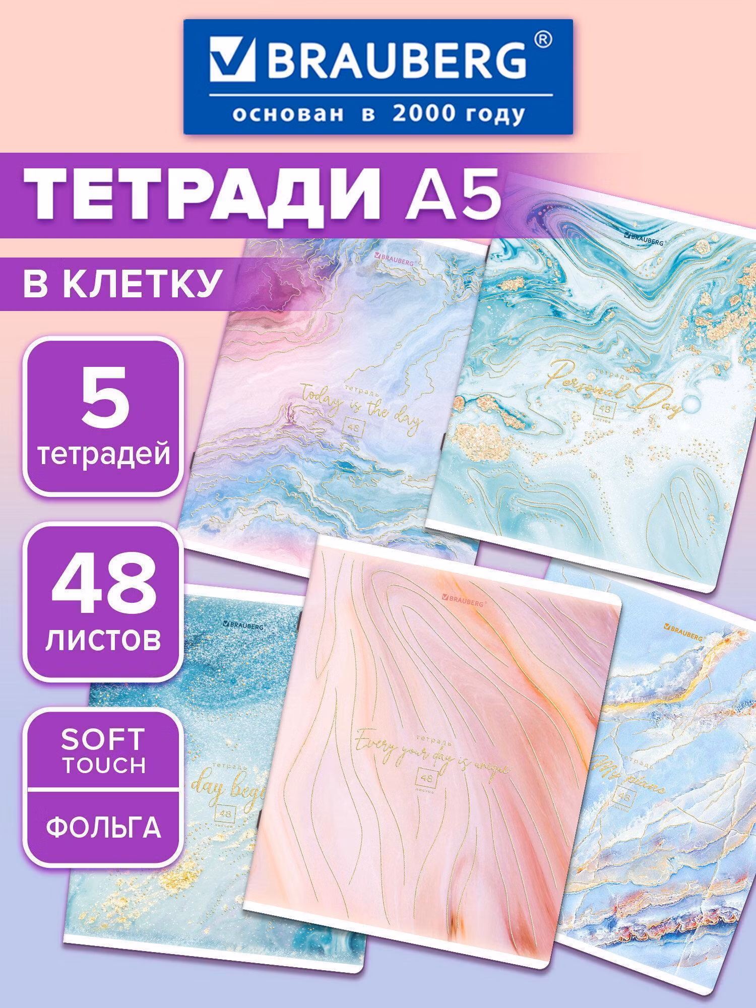 Тетрадь Brauberg 48 листов в клетку 5 штук набор, 404398