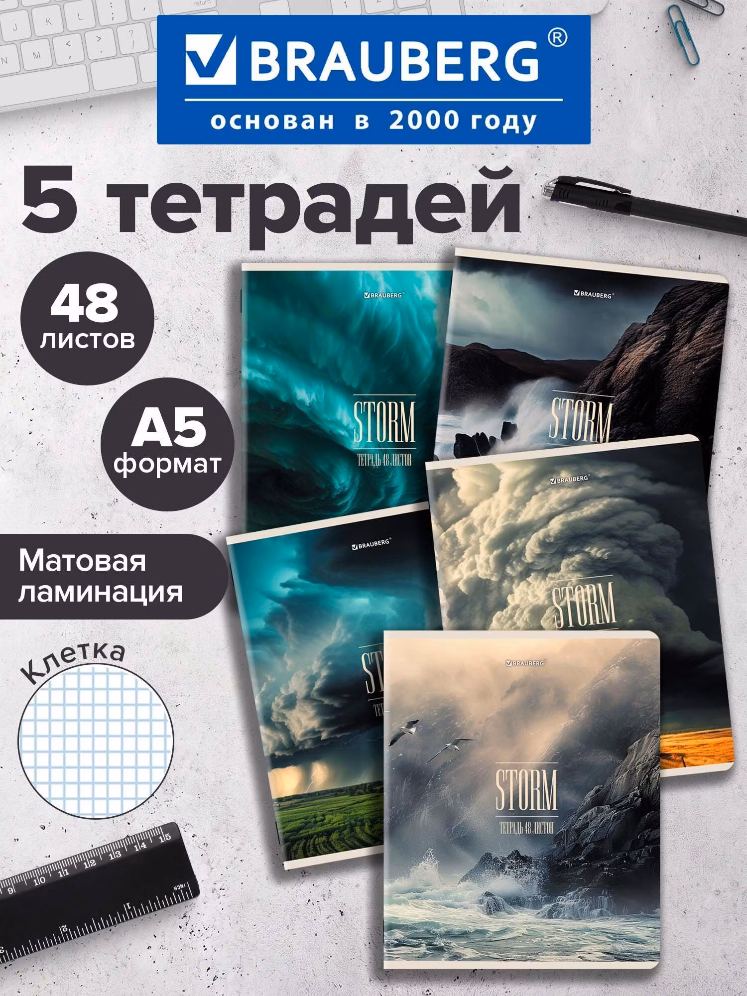 Тетрадь Brauberg 48 листов в клетку 5 штук набор, 404958