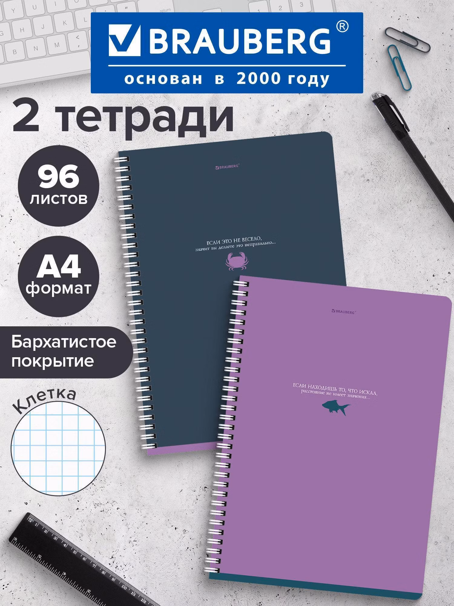 Тетради ДЭК А4 96л. КОМПЛЕКТ 2шт. BRAUBERG гребень, клетка, SoftTouch, MONOCOLOR, 404647