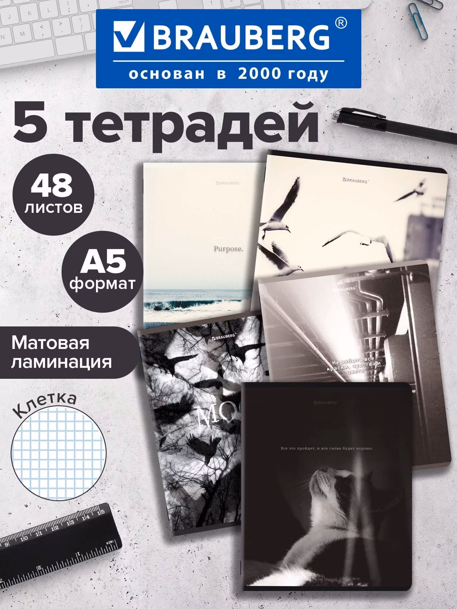 Тетрадь Brauberg 48 листов в клетку 5 штук набор, 404955