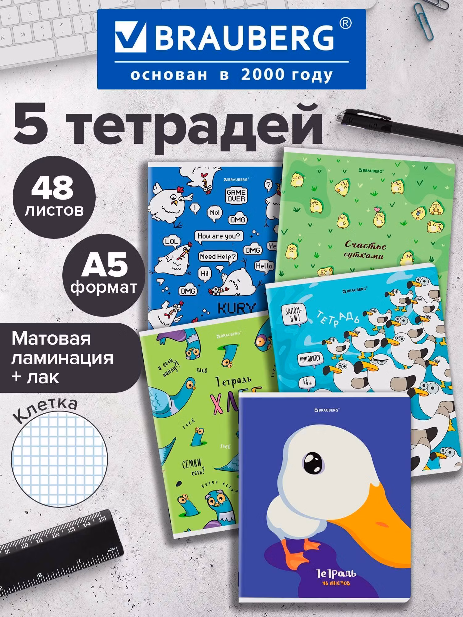 Тетрадь Brauberg 48 листов в клетку 5 штук набор, 404959