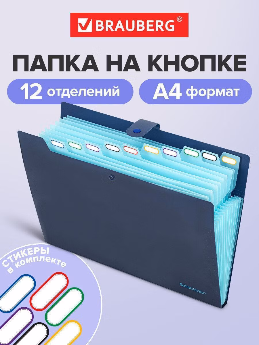 Папка Brauberg для документов А4 канцелярская с файлами, органайзер для бумаг на кнопке 12 отделений в школу, синяя с голубым "Extra", 271933