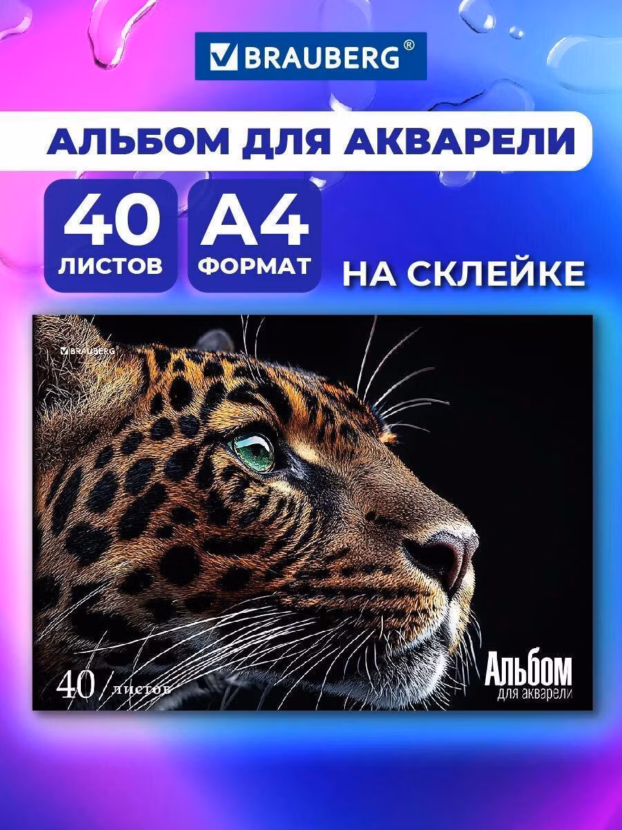 Альбом Brauberg 107130