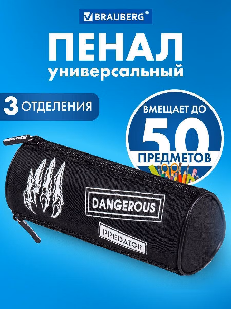 Пенал мягкий BRAUBERG, 3 отделения, нейлон, 21х7х7 см, Claws, 272307