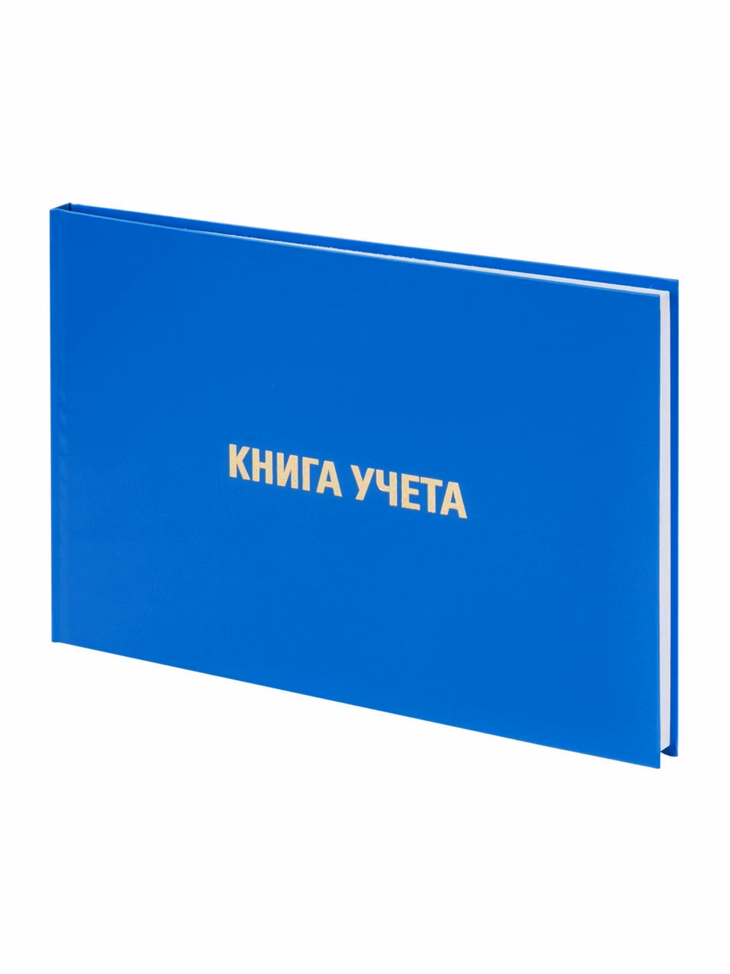 Книга учета 96л, клетка, твердая, бумвинил, блок офсет, альбомный, А4 203х290мм, BRAUBERG, 130074