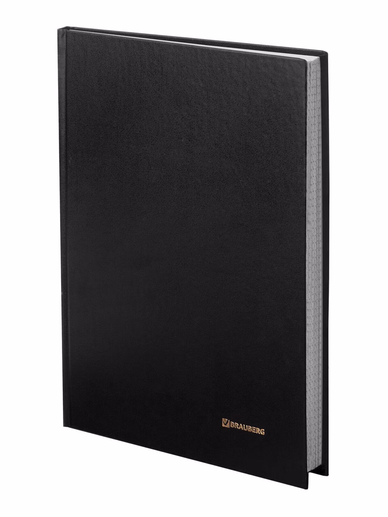 Книга учета 96л, клетка, твердая, бумвинил, блок офсет, А4 (200х290мм), BRAUBERG, черная, 130223