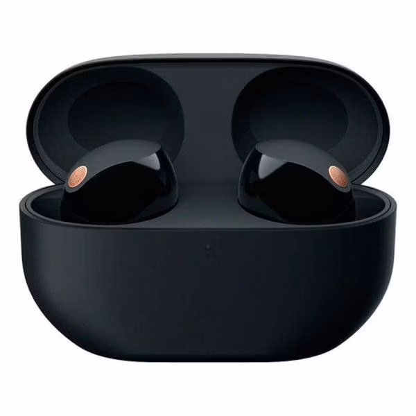 Наушники True Wireless Sony WF-1000XM5 Black