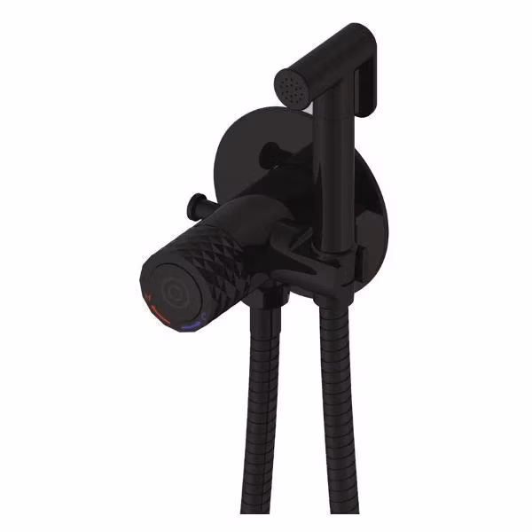 Гигиенический душ Rose R225H